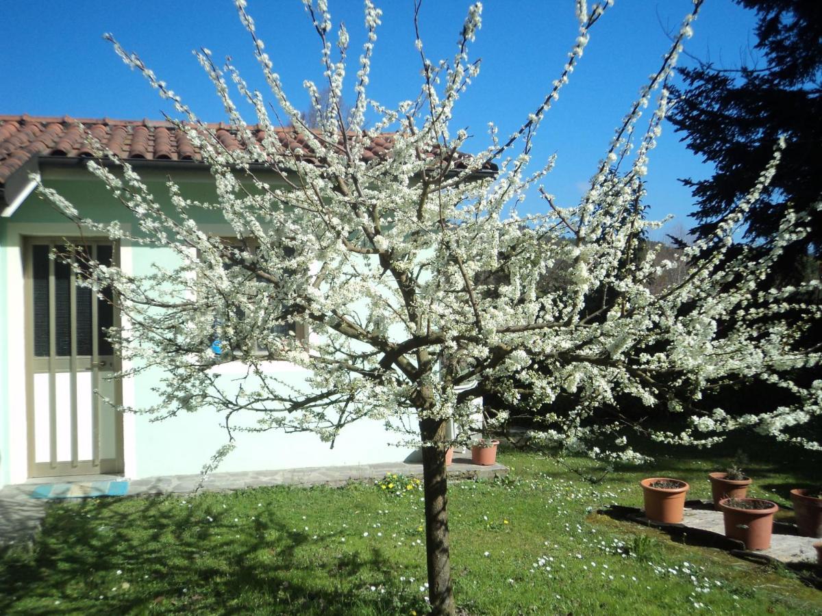 Casa Le Sorelline Konuk evi San Macario In Piano Dış mekan fotoğraf